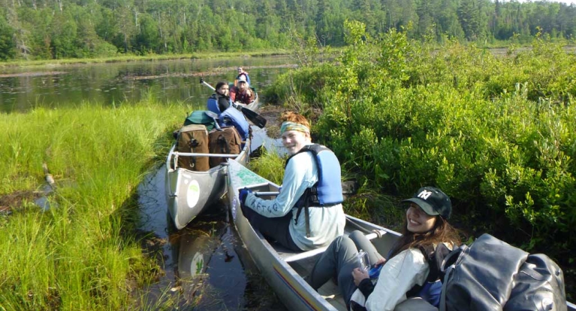 Three canoes are navigated through a narrow channel amid thick green brush